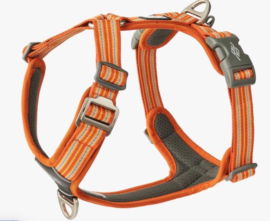 Billede lånt her: https://dogcopenhagen.com/da/hundeseler/64-993-comfort-walk-air-sele.html?gad_source=1&gclid=EAIaIQobChMItfzJktfRiQMVKBiiAx3IyDEfEAQYAiABEgJd4_D_BwE#/size-s/color-orange_sun